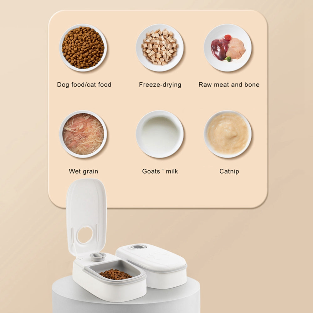 Automatic Pet Feeder with Timer & Stainless Steel Bowl
