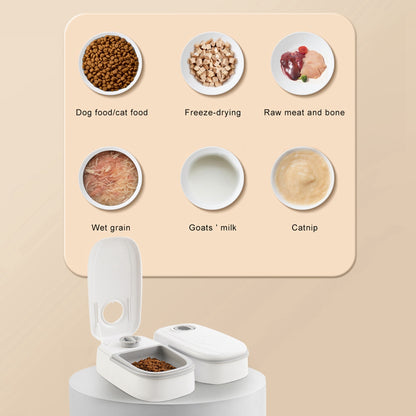 Automatic Pet Feeder with Timer & Stainless Steel Bowl
