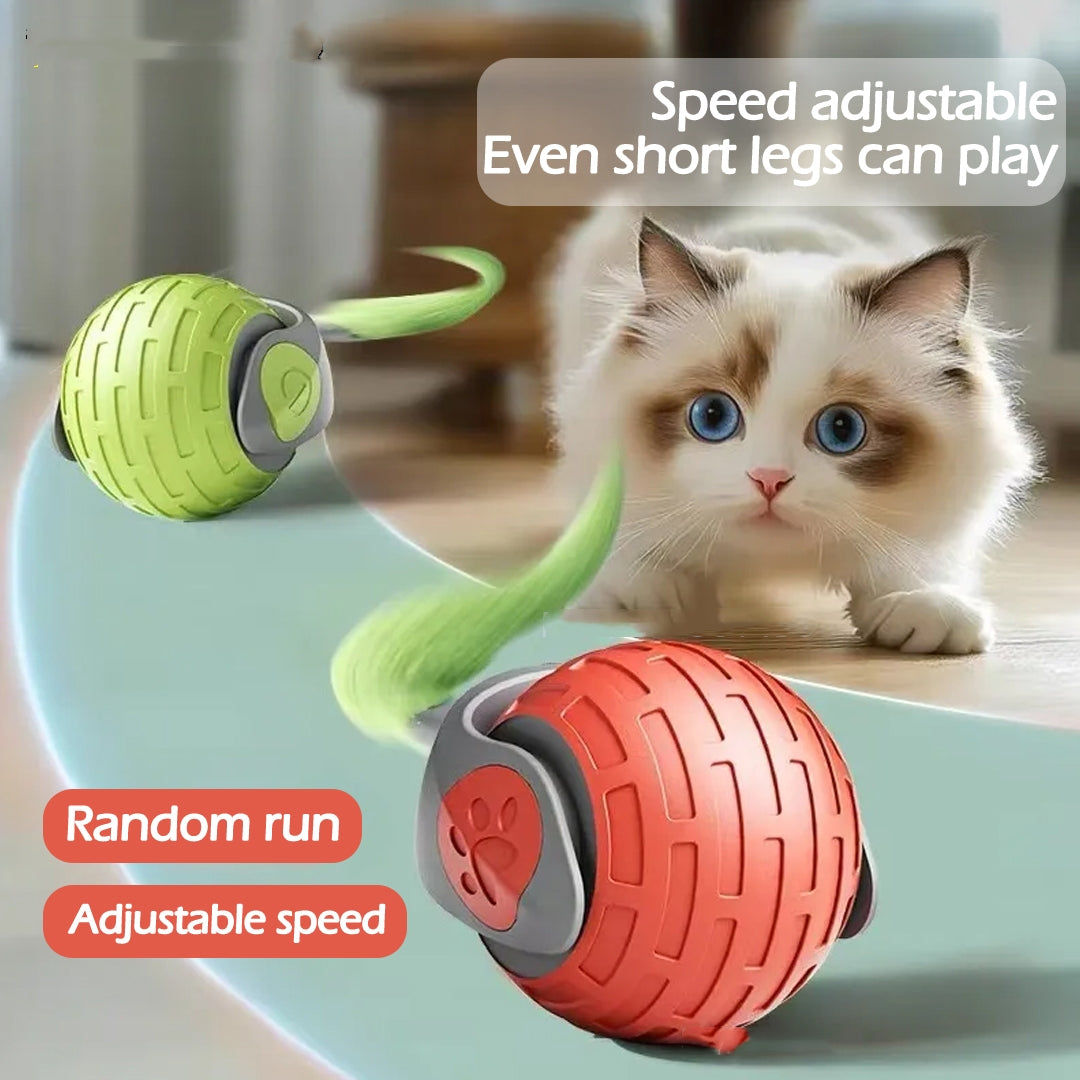 Smart Electric Cat Ball Toy  Automatic Teaser