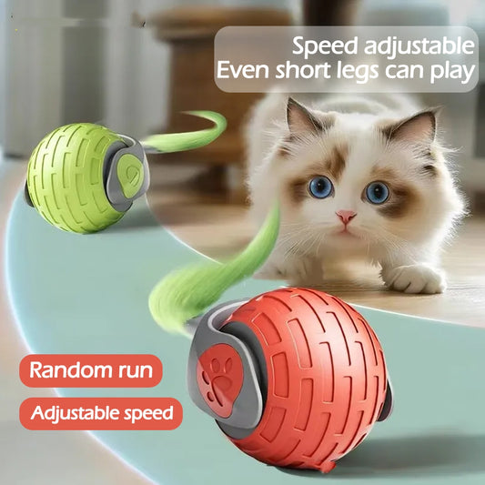 Smart Electric Cat Ball Toy  Automatic Teaser