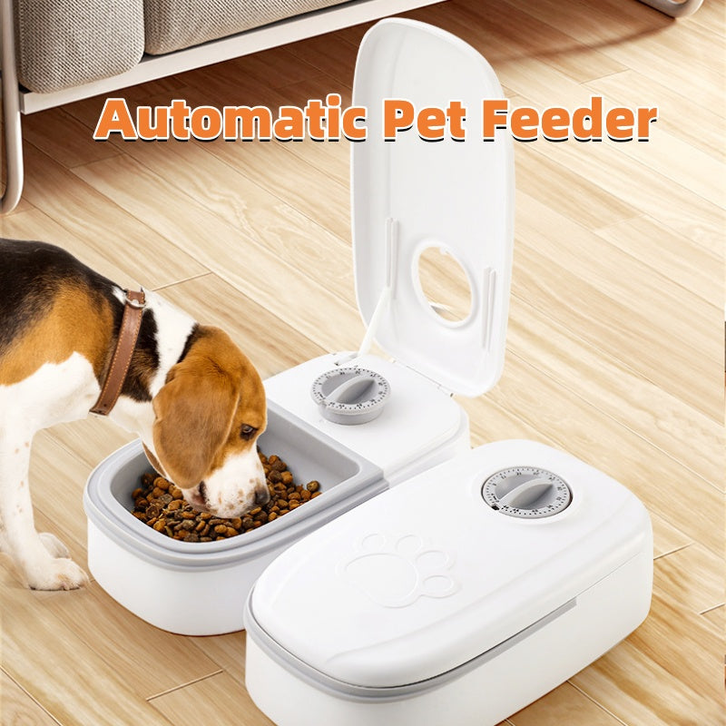 Automatic Pet Feeder with Timer & Stainless Steel Bowl