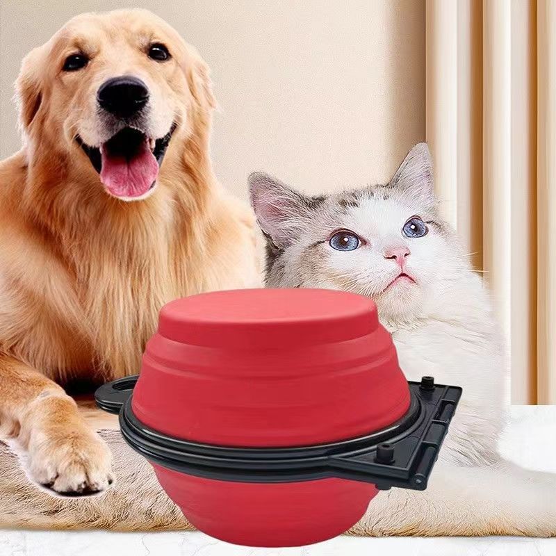 Folding Silicone Pet Bowl – Outdoor Double Dog & Cat Bowl